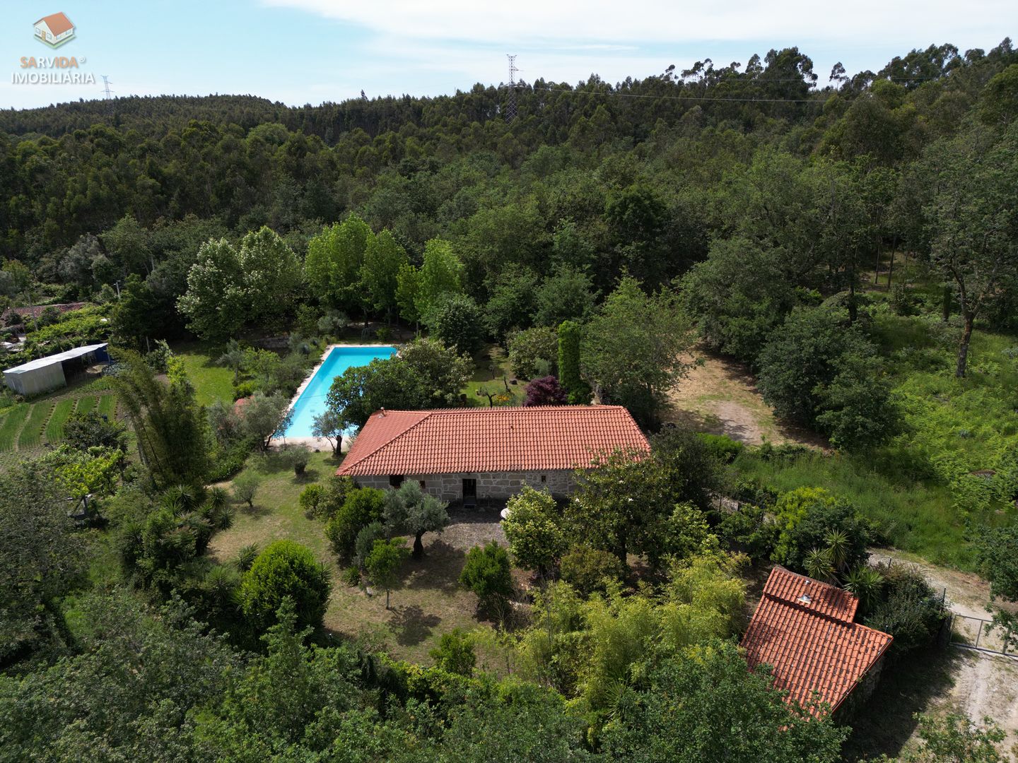 S0092025Quinta
